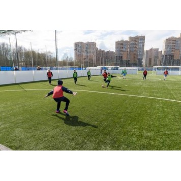 АРЕНА 20 x 40-1